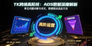 TK跨境高阶班：ADS数据深度解析，常见问题诊断与优化，数据驱动选品方法-离锋创库