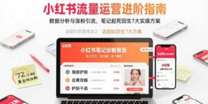 小红书流量运营进阶指南,数据分析与涨粉引流,笔记起死回生7大实操方案-离锋创库