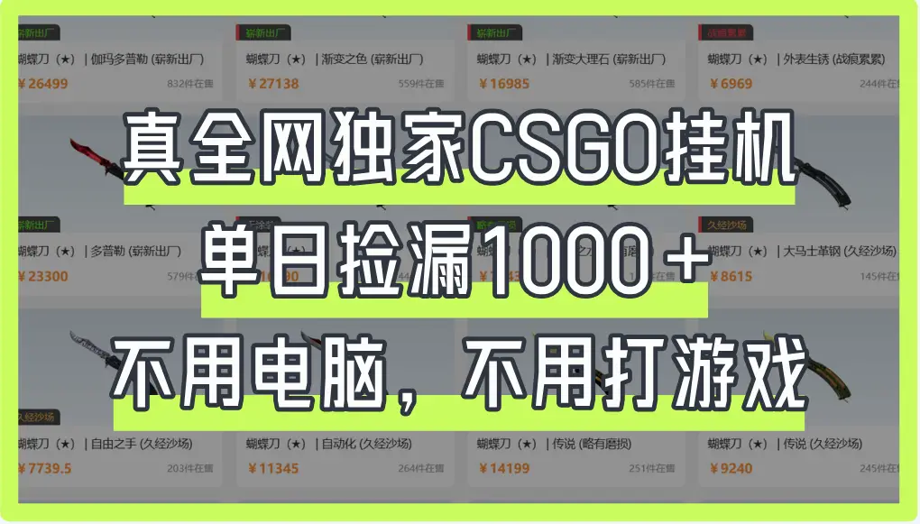 真全网独家CSGO挂机，单日捡漏1000+-离锋创库