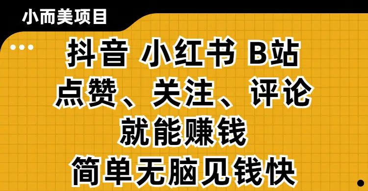 小而美的项目，抖音、小红书、B站视频点赞、关注、评论就能赚钱，简单无脑立见收益!妥妥的零撸项目-离锋创库