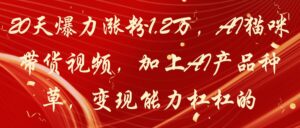 20天爆力涨粉1.2万，AI猫咪带货视频，加上AI产品种草，变现能力杠杠的-离锋创库