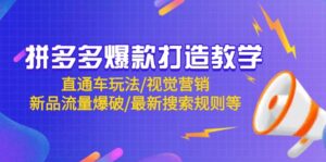 拼多多爆款打造教学:直通车玩法/视觉营销/新品流量爆破/最新搜索规则等-离锋创库
