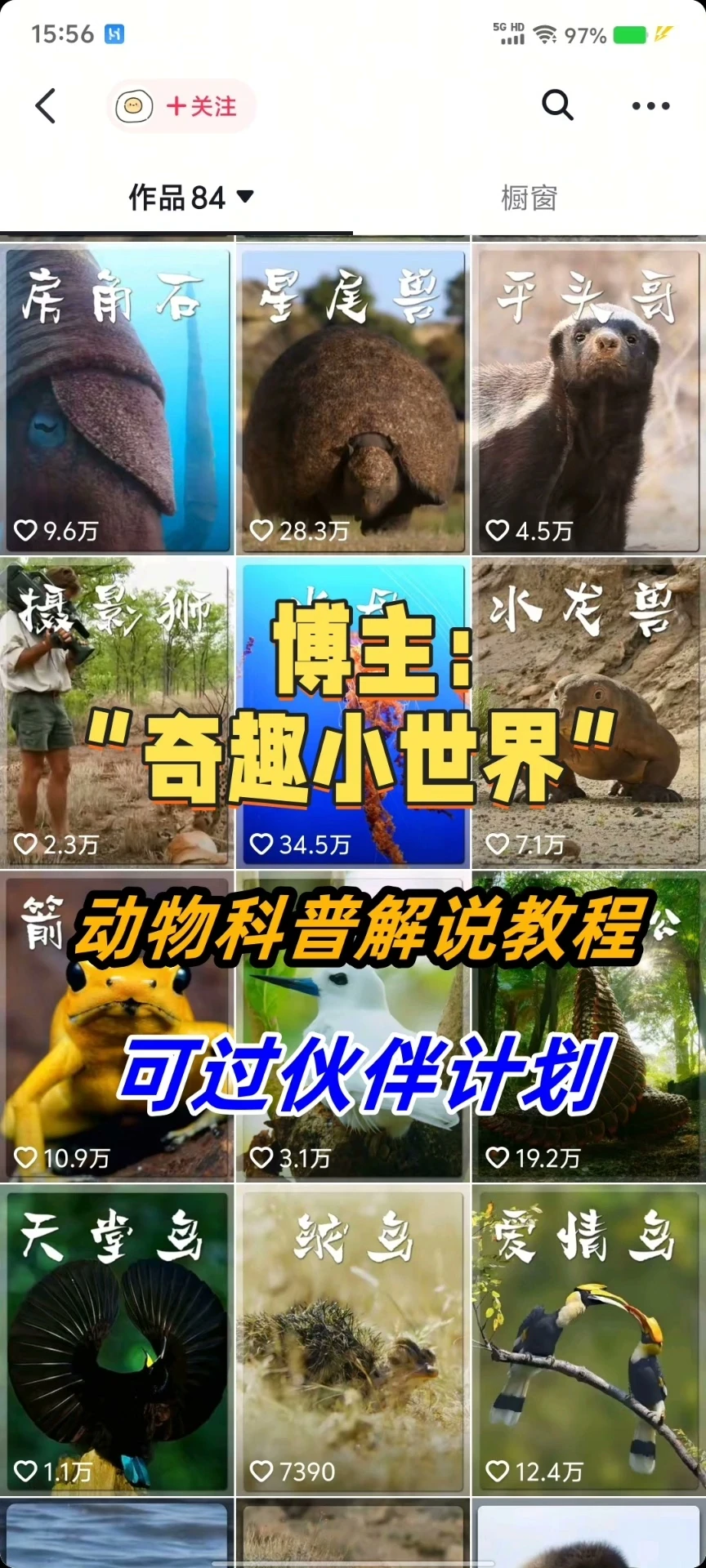 【精】奇趣小世界dy大v博主课程动物百科解说教程剪辑实操视频原创文案思路讲解-离锋创库