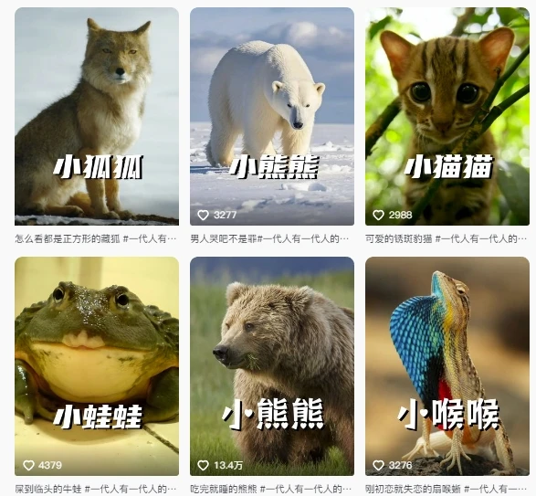 【精】最新搞笑动物百科详细解说课程，蓝海赛道，流量非常大，轻松签独家进精选-创业猫