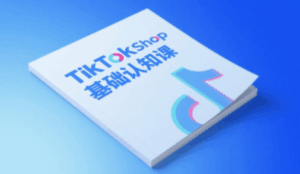梨子姐姐·TikTok小店基础认知课-离锋创库