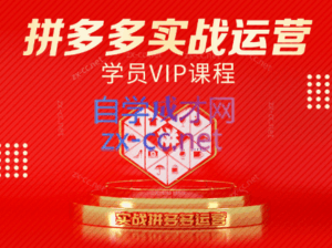 推易电商·拼多多实战运营课(更新2025月)-离锋创库