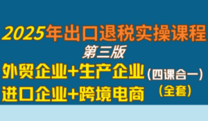 崔sir·出口退税实操-外贸企业+生产企业+跨境电商+进口企业(四课合一)-离锋创库