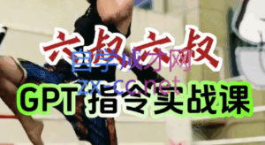 六叔的AI指令实战课(更新7月)-离锋创库