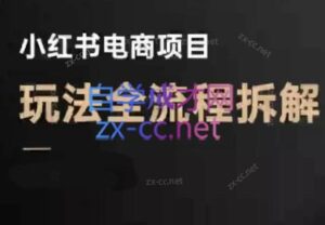 菲菲老师·小红书电商玩法(更新7月)-离锋创库