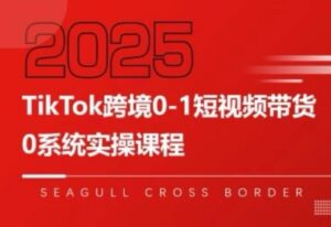 大亿老师·TikTok跨境0-1短视频带货-离锋创库