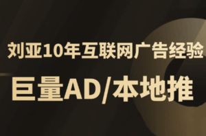 李亚老师·AD投放教程课程实战课-离锋创库