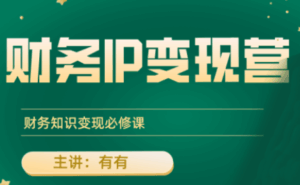 有有老师·财务IP变现营,财务知识变现必修课-离锋创库