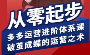 海神·拼多多运营进阶系统课(更新8月)-离锋创库