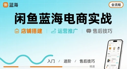 【精】闲鱼蓝海电商实战，店铺搭建运营售后全流程-离锋创库