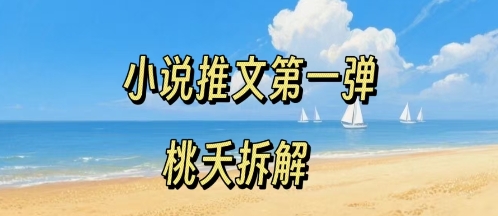 小说推文项目操作全流程第一弹，0粉就能做，门槛低非常适合新手-离锋创库