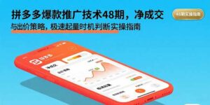 拼多多爆款推广技术48期，净成交与出价策略，极速起量时机判断实操指南-离锋创库