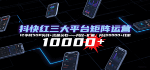 抖快红三大平台矩阵运营,12小时SOP实战+流量获取-风控-扩量,月引10000+线索-离锋创库