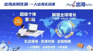 出海去孵化器,一人出海实战课,超级个体第1站,解锁全球增长-离锋创库