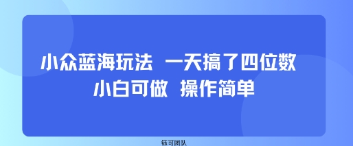 小众蓝海玩法 一天搞了四位数 小白可做 操作简单-离锋创库