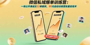 微信私域爆单训练营:一场公开课成交33单案例,99元自动训练营批量变现术-离锋创库