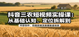 抖音三农短视频实操课：从基础认知、定位拆解到内容创作、拍摄剪辑及数据复盘投放-离锋创库