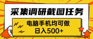 采集，调研，截图任务，电脑手机均可做，日入500+-离锋创库
