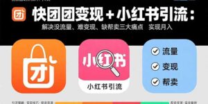 快团团变现+小红书引流：解决没流量、难变现、缺帮卖三大痛点 实现月入3w+-离锋创库