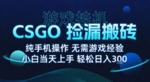 8月最新游戏搬砖，CSGO纯挂G，不需要玩游戏，实现真挂G，月入1W+【揭秘】-离锋创库