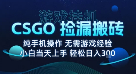 8月最新游戏搬砖，CSGO纯挂G，不需要玩游戏，实现真挂G，月入1W+【揭秘】-离锋创库