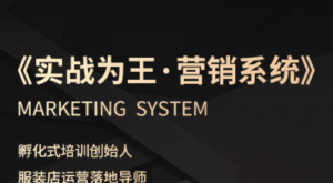 老杨·服装老板必修课《实战为王-营销系统》实现业绩被动式增长-离锋创库