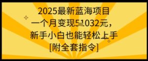 2025最新蓝海项目一个月变现1w+新手小白也能轻松上手【附全套指令】-离锋创库