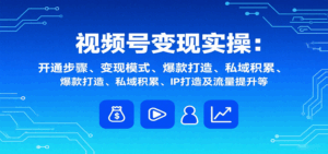视频号变现实操，含开通步骤、变现模式、爆款打造、私域积累、IP打造及流量提升等-离锋创库