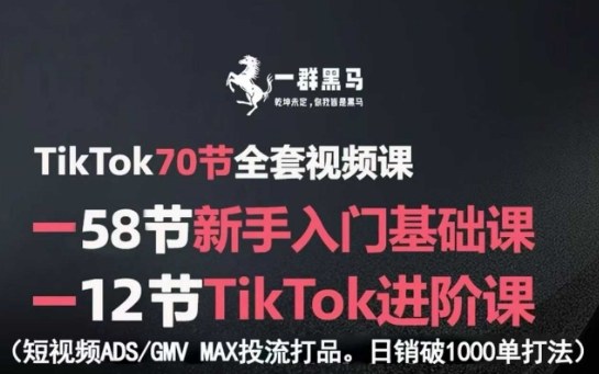 TikTok全套视频课，新手入门+进阶课，短视频ADS-GMV MAX投流打品，日销破1000单打法-离锋创库
