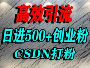 怎么打创业粉?CSDN又一个你不知道的打粉引流神秘平台,单人日引500+精准流量-离锋创库