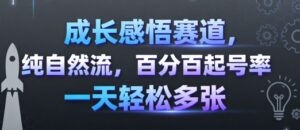 成长感悟赛道，纯自然流，百分百起号率 一天轻松多张-离锋创库