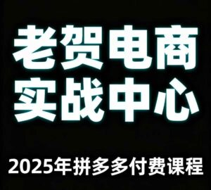 老贺电商2025年拼多多付费课程，用通俗易懂的方法告诉你多多怎么玩-离锋创库