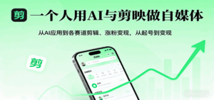 一个人用AI与剪映做自媒体,从AI应用到各赛道剪辑、涨粉变现,从起号到变现-离锋创库
