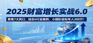 2025财富增长实战6.0，聚焦7大风口，结合6行业案例，小团队轻松年入200万！-离锋创库
