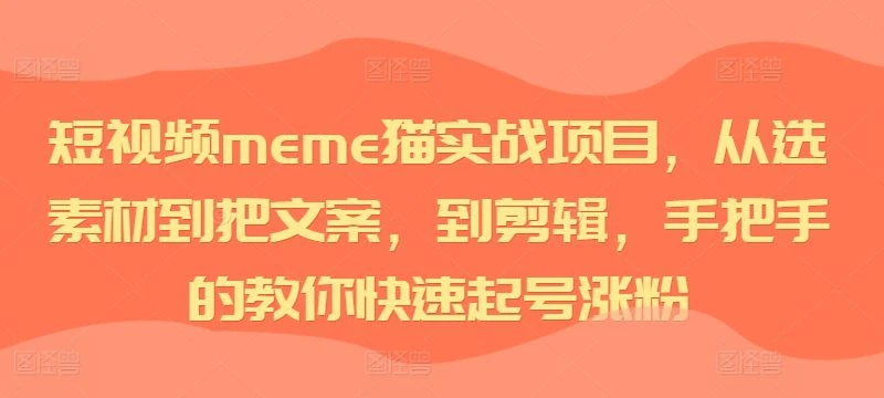 【精】短视频meme猫实战项目，从选素材到把文案，到剪辑，手把手的教你快速起号涨粉-离锋创库