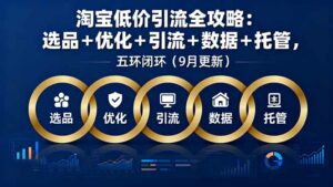 淘宝低价引流全攻略：选品＋优化＋引流＋数据＋托管，五环闭环(9月更新-离锋创库