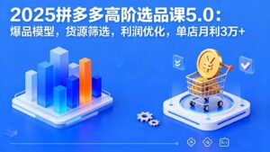 2025拼多多高阶选品课5.0:爆品模型,货源筛选,利润优化,单店月利3万+-离锋创库