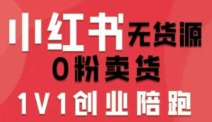 小红书无货源0粉电商课，开店准备、选品策略、笔记撰写、视频剪辑、数据分析、账号打造、资料文档-离锋创库