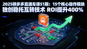 2025拼多多直通车课51期:15个核心操作模块 独创稳托互转技术 ROI提升400%-离锋创库