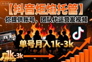 【抖音炬焰托管】你提供账号,团队代运营发视频,单号月入1k+【揭秘】-离锋创库