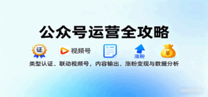 公众号运营全攻略：类型认证、联动视频号，内容输出、涨粉变现与数据分析-离锋创库