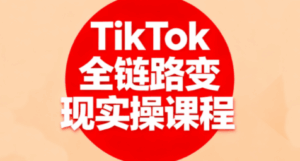 小杨老师·TikTok全链路变现实操课程-离锋创库