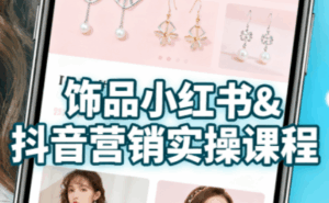 抖音+小红书饰品卖货：货源、开店、内容全教会-离锋创库