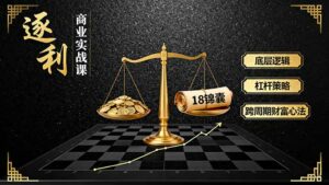 《逐 利》商业实战课,底层逻辑、杠杆策略、18锦囊,跨周期财富心法-离锋创库