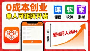 拼多多虚拟电商,0成本,单人可矩阵开店,轻松月入3W+-离锋创库