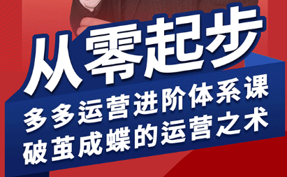 海神·拼多多运营进阶系统课(更新9月)-离锋创库